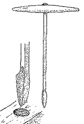 File:Auger.gif